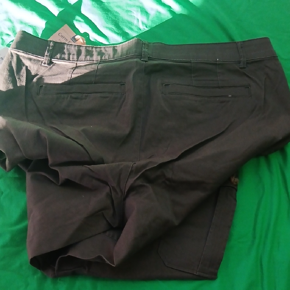 Democracy Pants - Picture 11 of 11